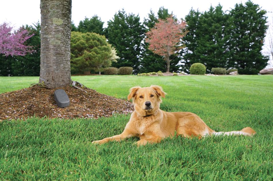 The best way to corral your pal: PetSafe® containment systems