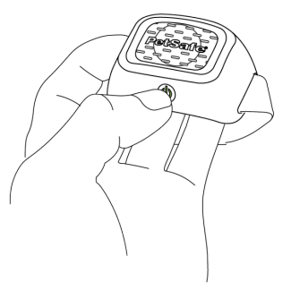 Turn the collar on by holding the power button on the collar