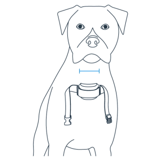 Center the probes on the neck