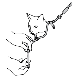 adjust-girth-strap-come-with-me-kitty-cat-harness-bungee-leash-illustration2