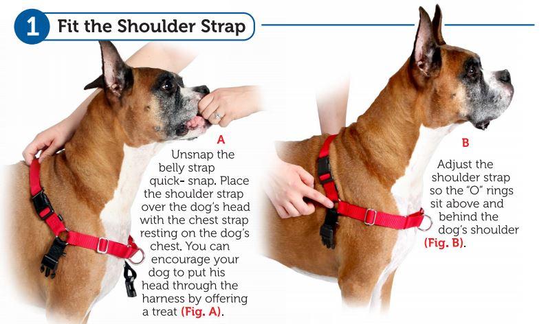 HOT Walk Dog Leash Easy Walk Harness How To Put On Easy