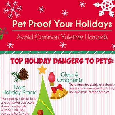 holiday pet proofing