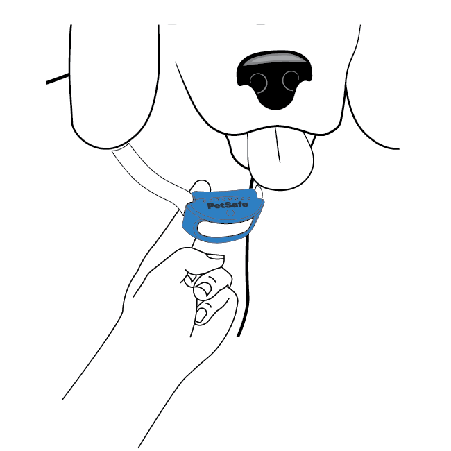 One finger fits snug between the probes and your dog's neck