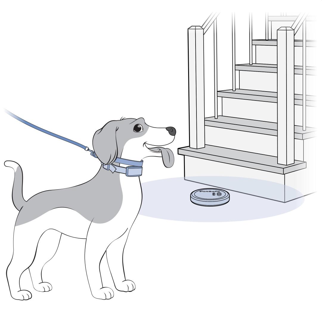 Walk Towards Barrier With Leash