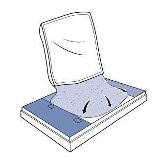 Pour Litter Into Litter Tray