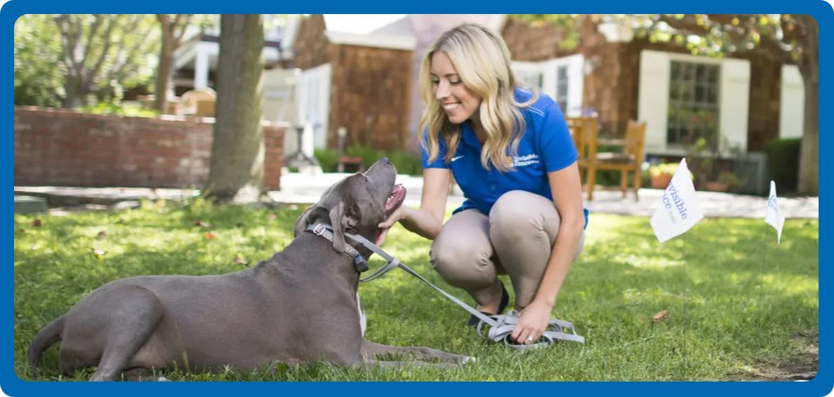 Invisible Fence Brand trainer interacting with dog outside