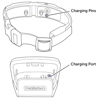 Connect Collar To Charging Base