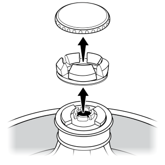 Exploded view of cap and spout ring