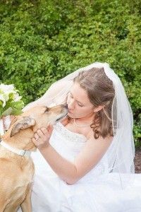 You may kiss the bride!