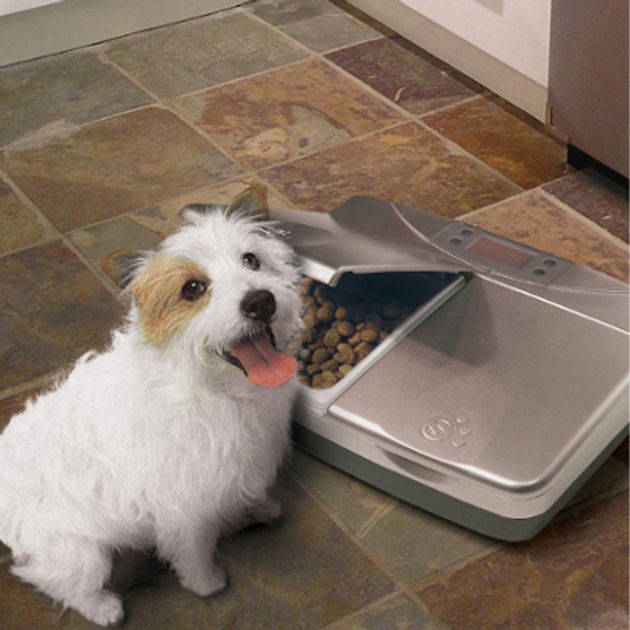 PYROH Dog Feed Reminder - Wooden Dog Feeding Schedule - Feed Dog