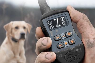 A remote with an OLED screen held in a hand with a yellow lab in the background