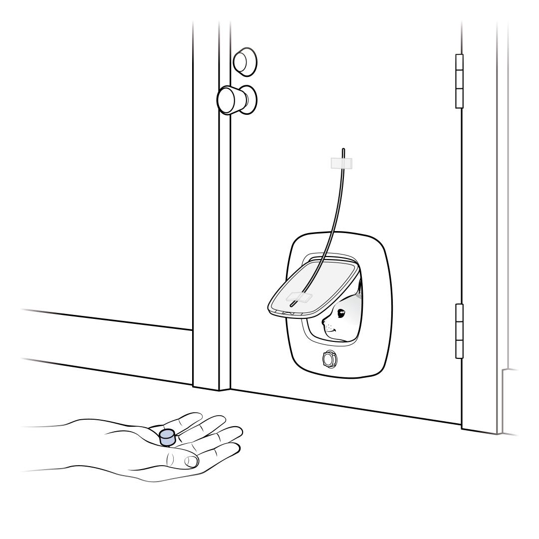 Call Cat Through