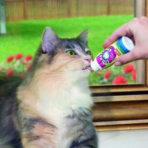 The Feline Lickety Stik® comes in 6 yummy flavors!