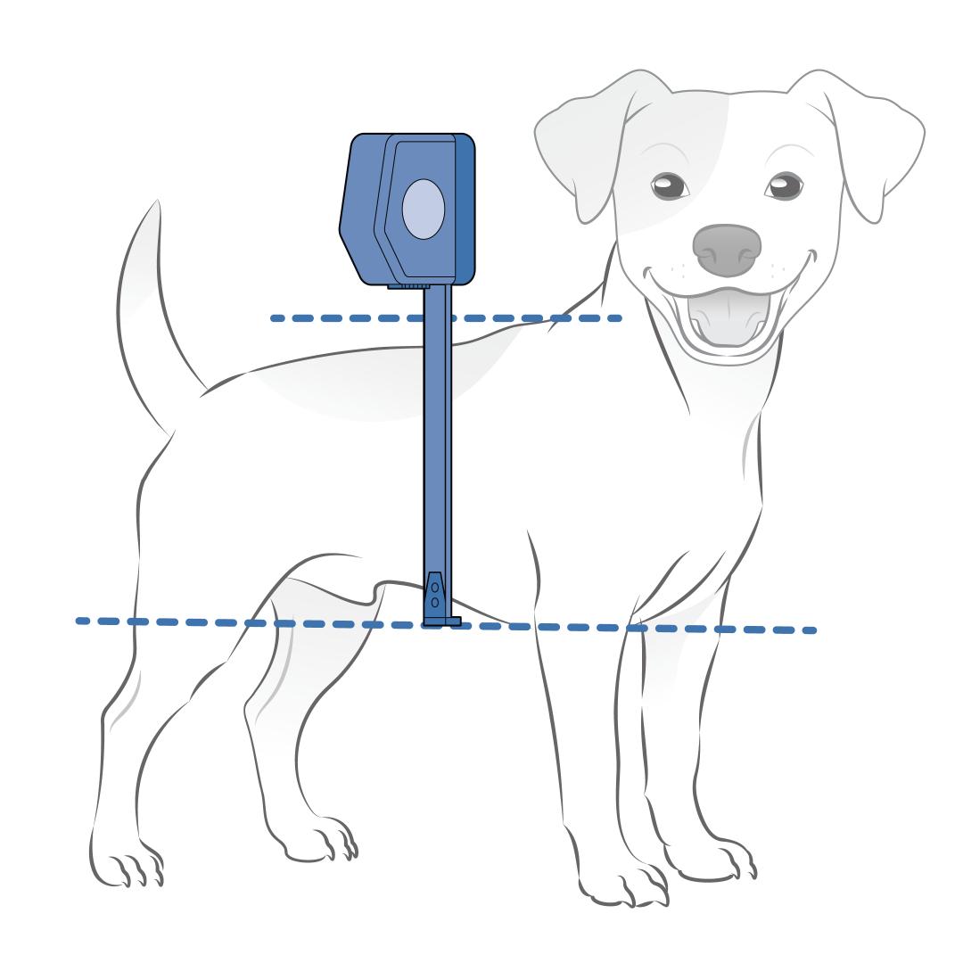 Measure Chest Height