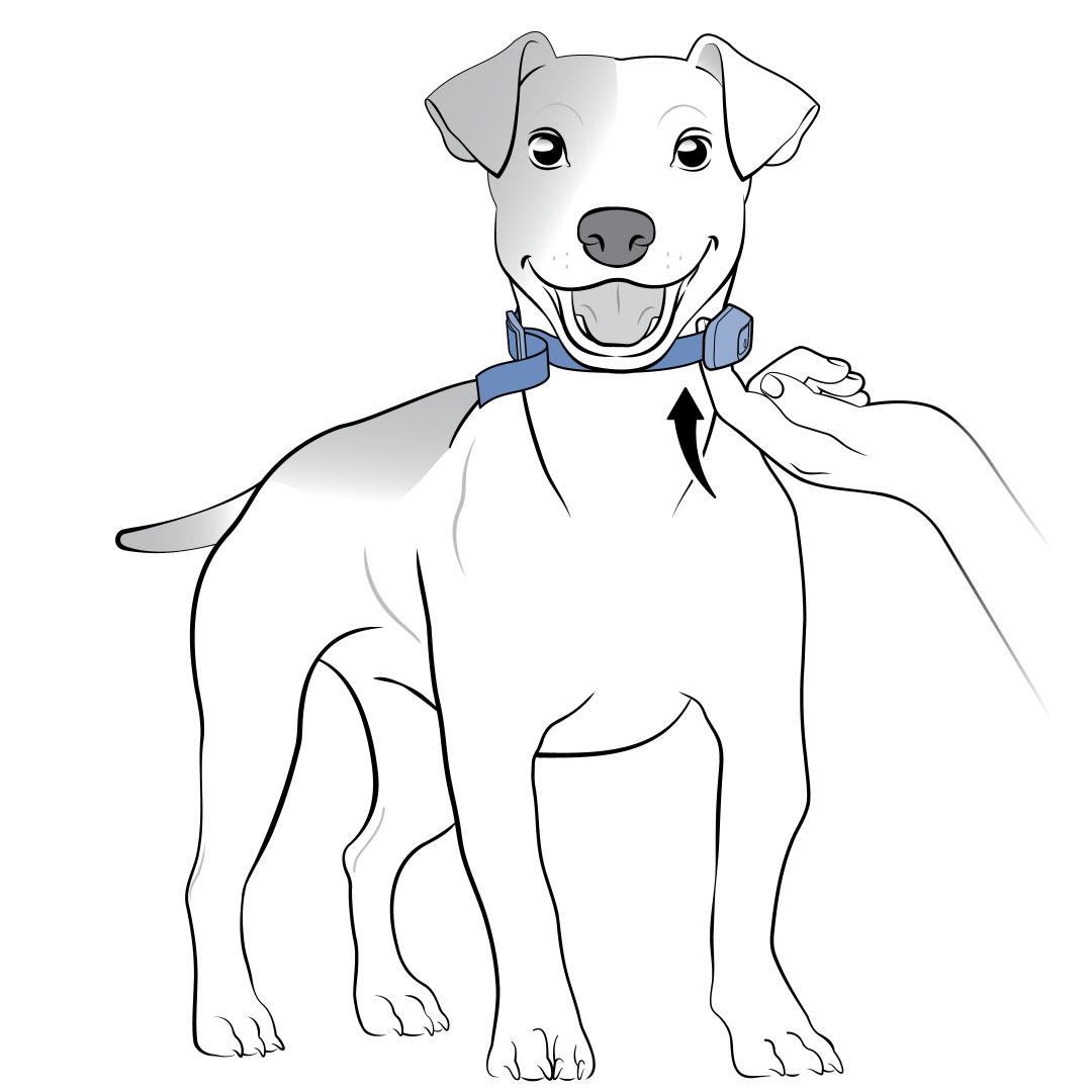 One finger behind contact point