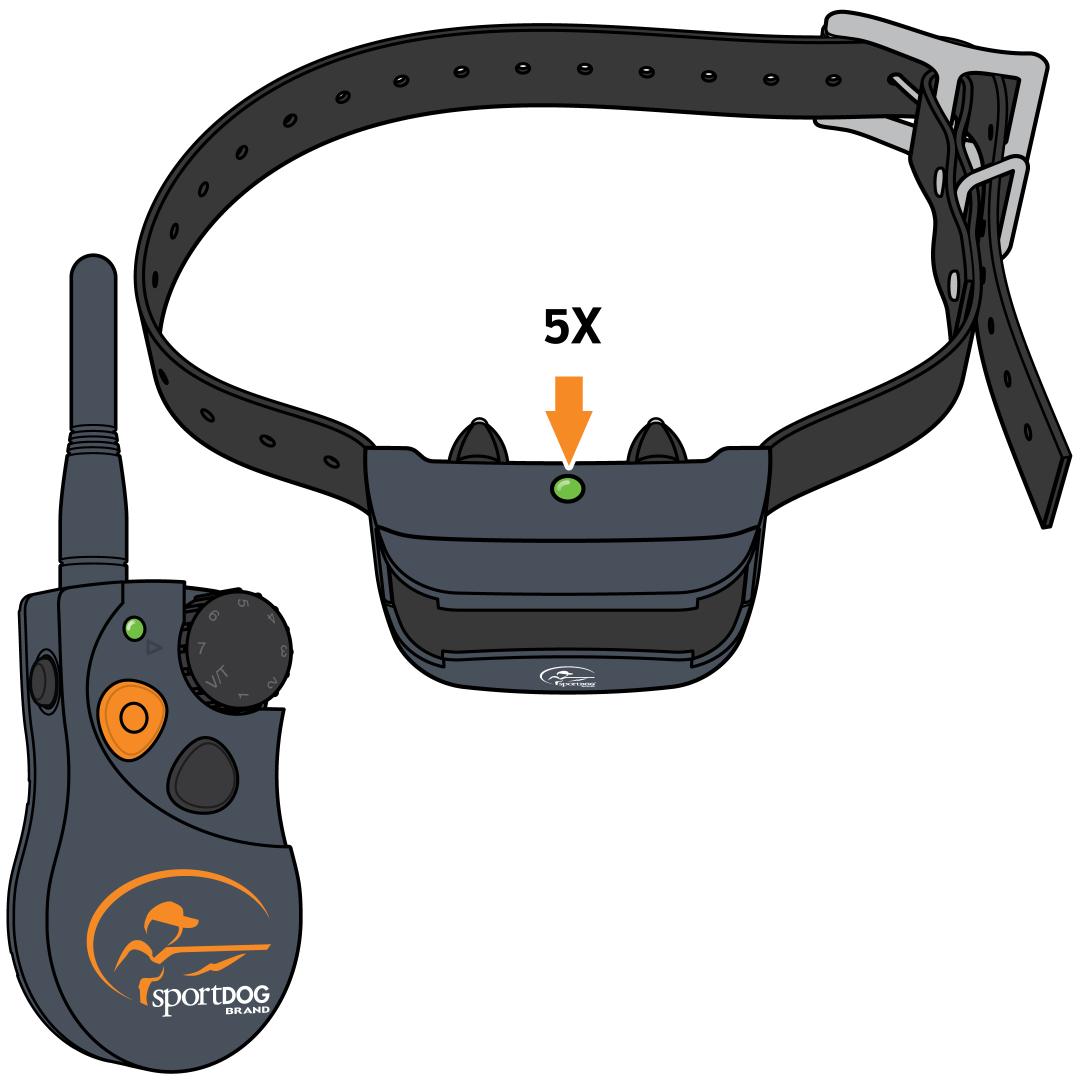 Pair Collar With Upper Button