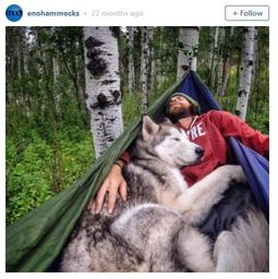 The Best Photos from National Dog Day 2015! 
