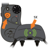 Collar Light Flashes Green 5X