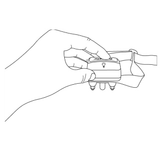 Test your collar, step 2
