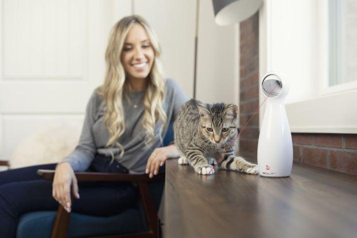 Pet Parent and Cat with Laser Toy