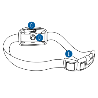 Collar features