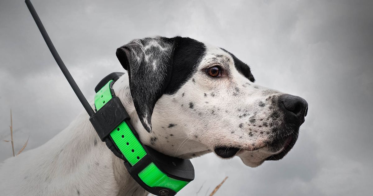 Shop Tracking products by SportDOG