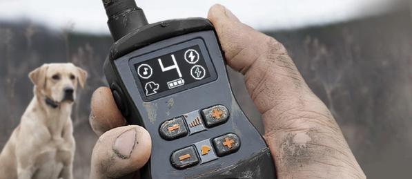 OLED SportTrainer remote with lab dog in the background