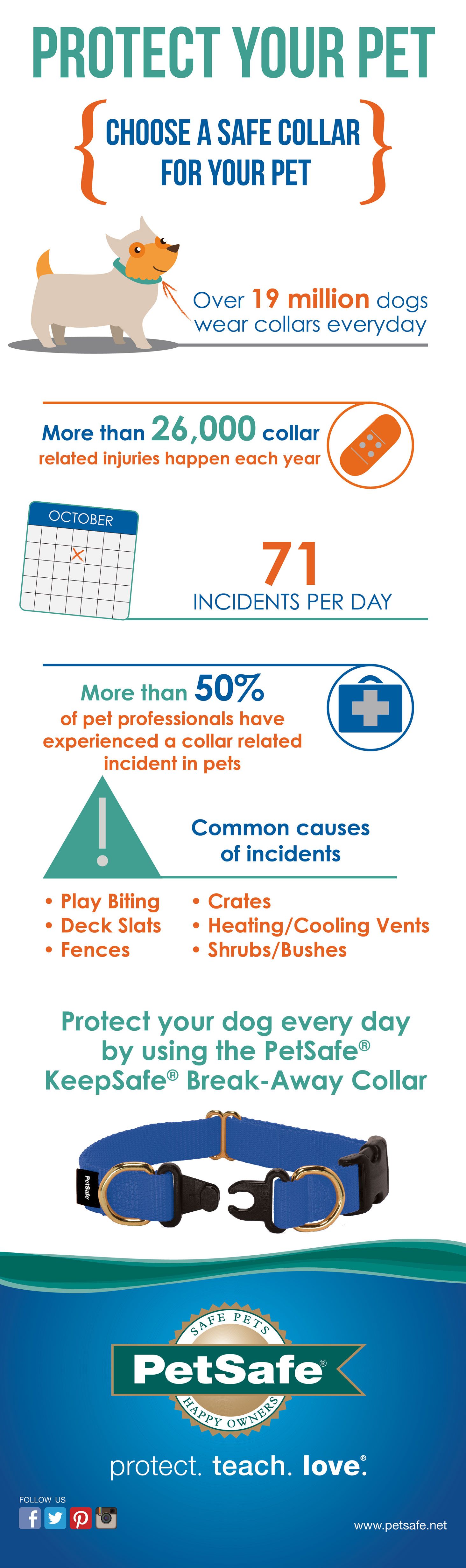 collar safety awareness infographic