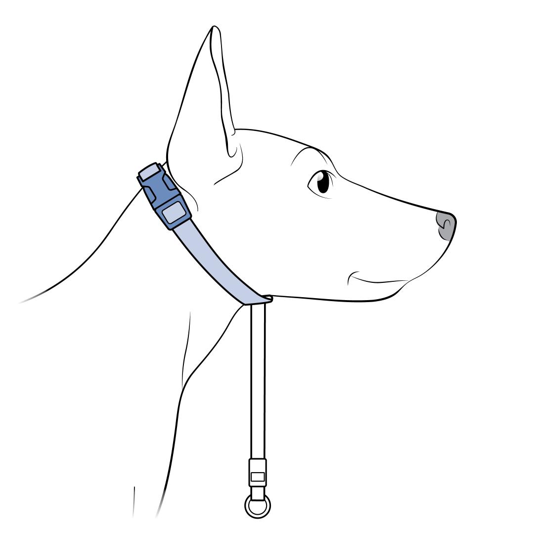 Position the Neck Strap
