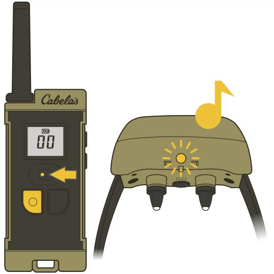 Cabela's GD GS-100_Test Pairing