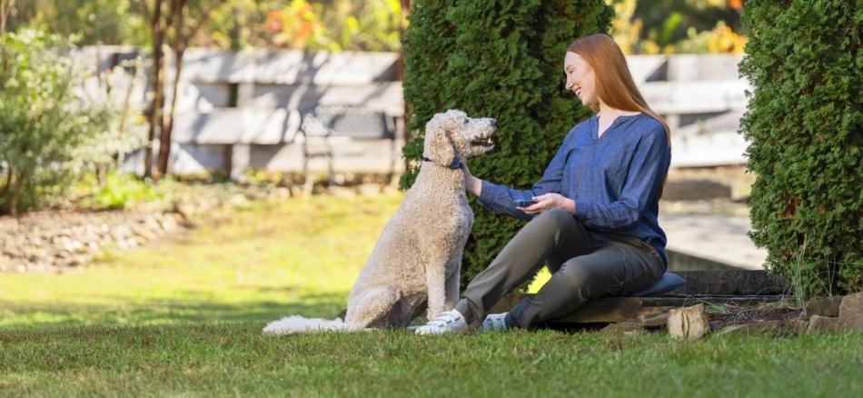 Woman sitting outside and petting dog