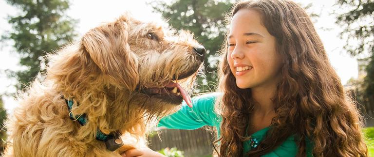 Young girl petting happy dog outside