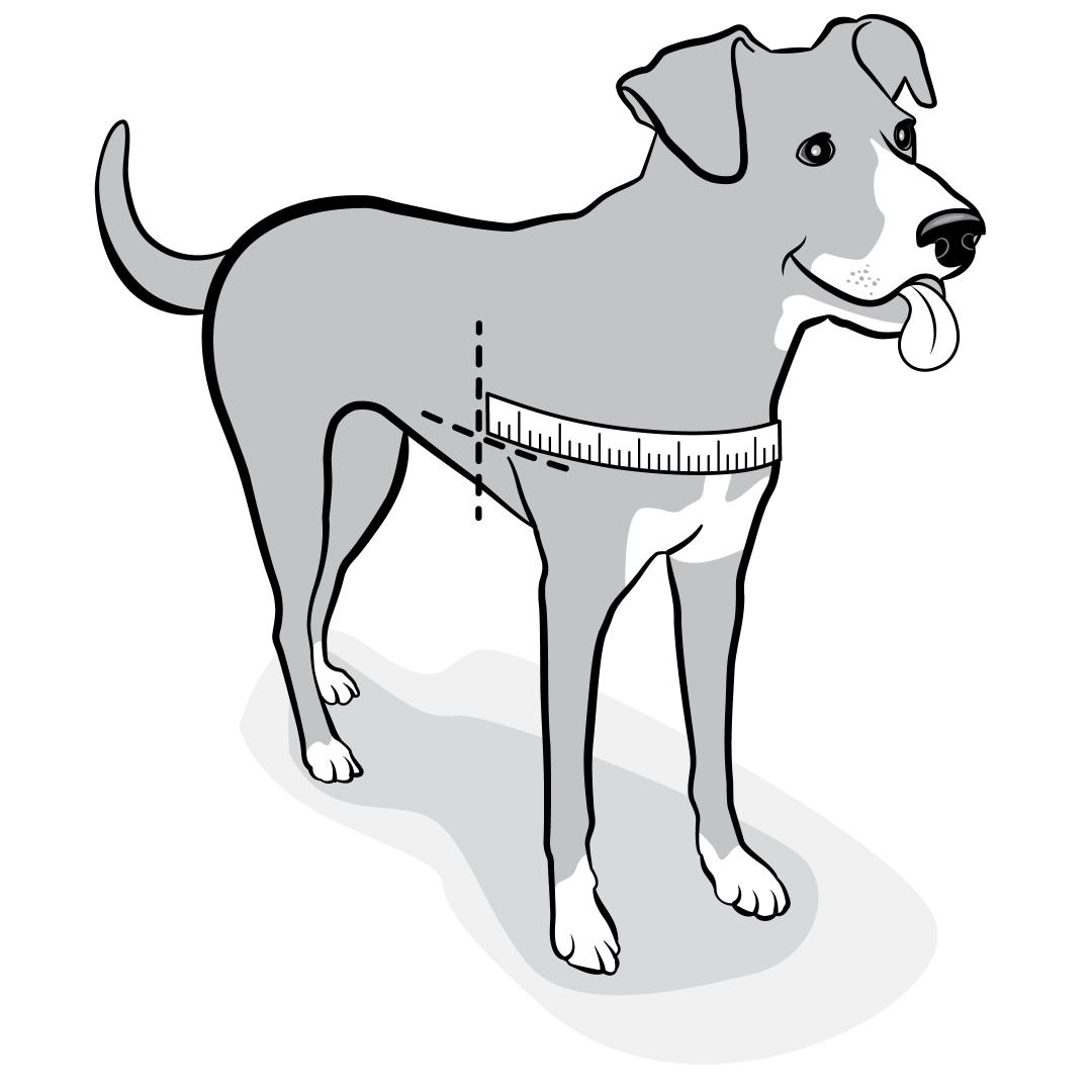 how-to-measure-chest-easy-walk-harness-illustration