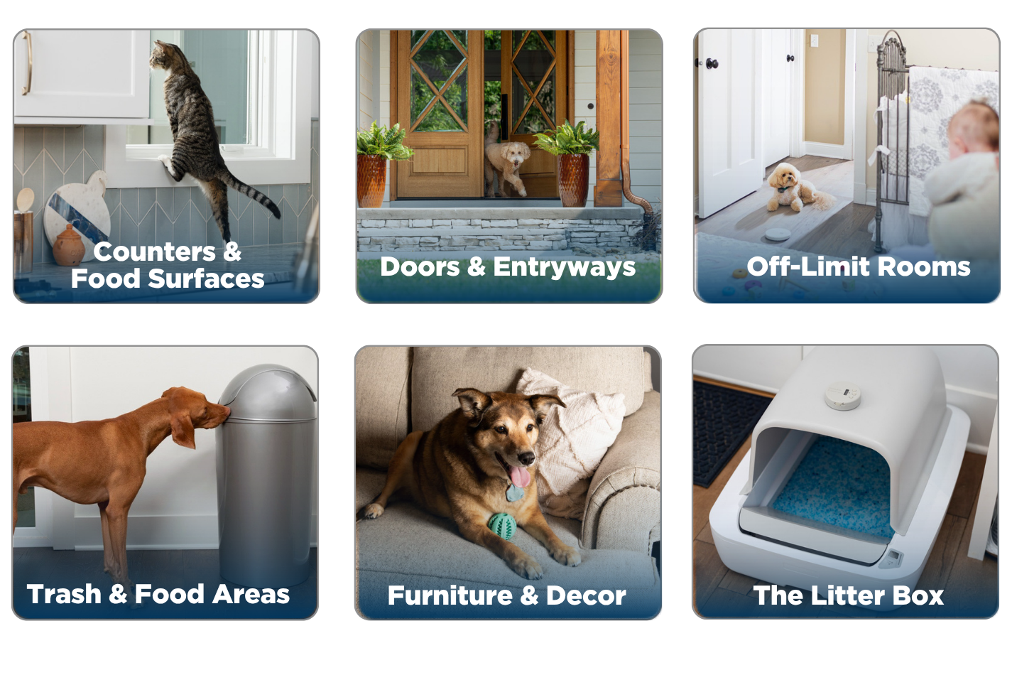 protect the spaces that matter most, counters and food surfaces, doors and entryways, trash, furniture and decor and more