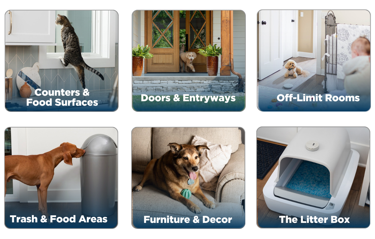 protect the spaces that matter most, counters and food surfaces, doors and entryways, trash, furniture and decor and more