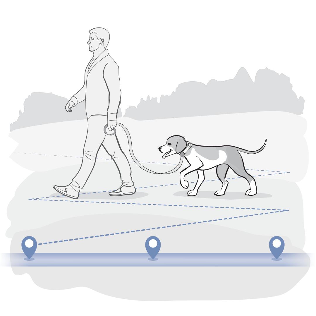 Explore and Learn the Pet Area