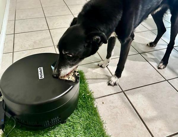 Black dog eating from black FreshFeed