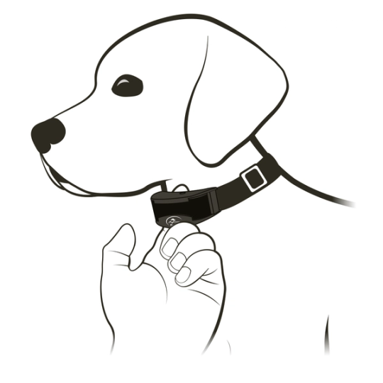 SD Common Containment_Verify Proper Fit