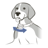 Check By Shifting Collar