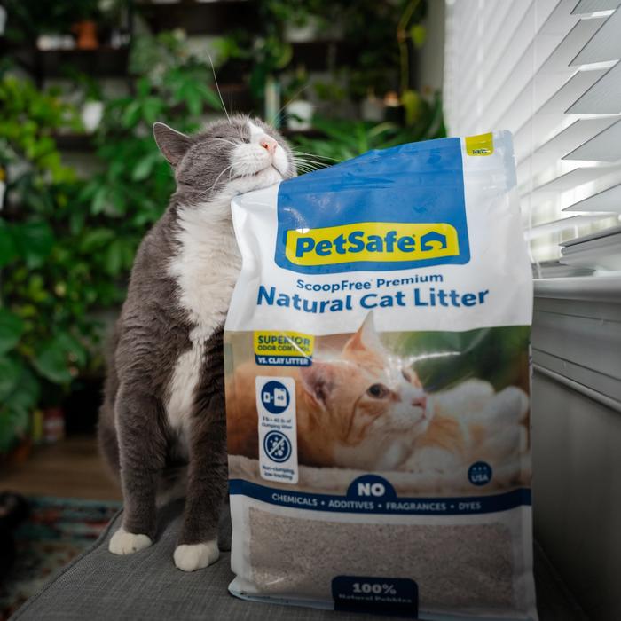 cat and petsafe litter