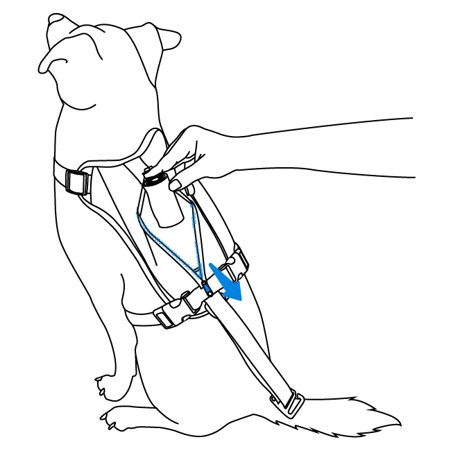 using-the-pouch-walk-along-outdoor-harness-illustration2