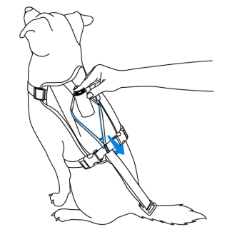 using-the-pouch-walk-along-outdoor-harness-illustration2
