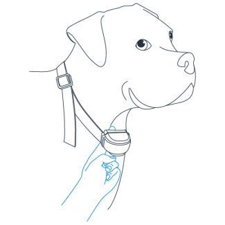 One finger fits between the probe and your pet’s neck