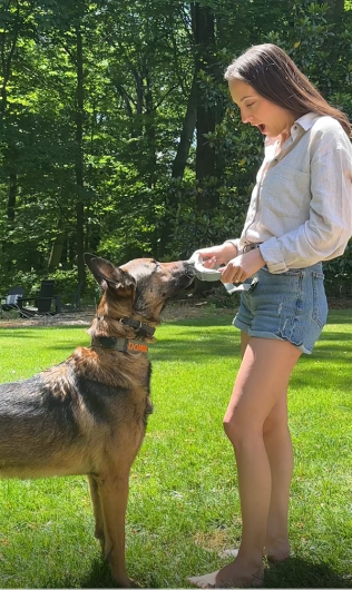 How Katie and Keeps Up With Her Belgian Malinois 