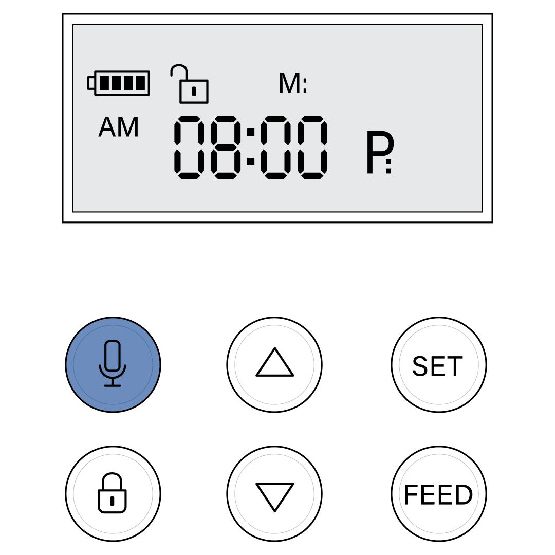 Record Button