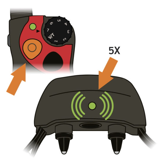 sportdog-825-sms-collar-light-flashes-green-5-times-illustration