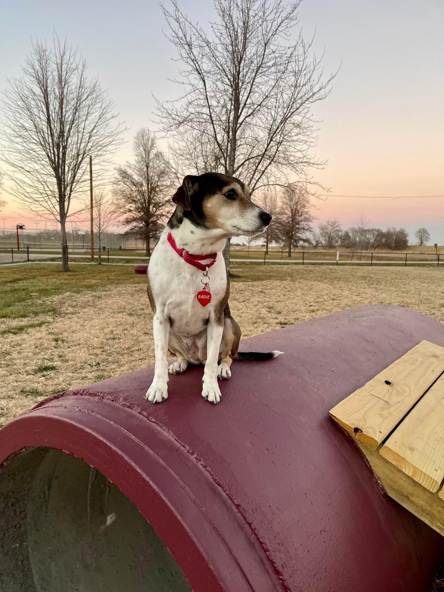 dogontunnel