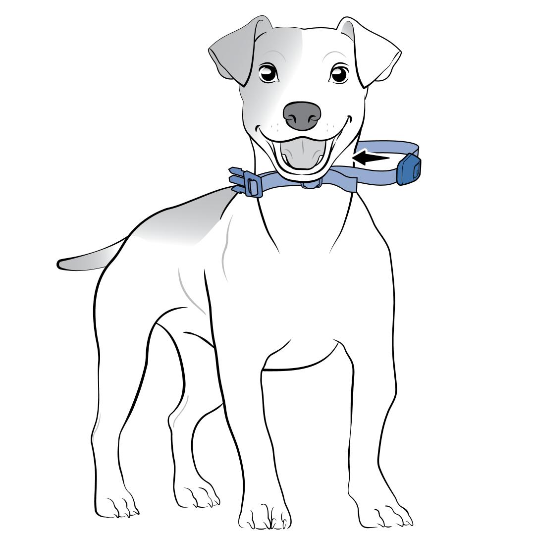 Fit collar on side of neck