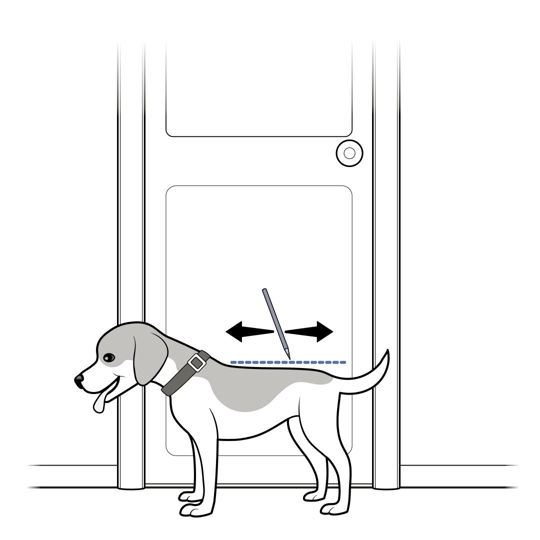 Measure pet's height