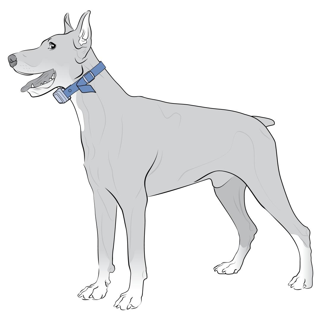 Center Collar